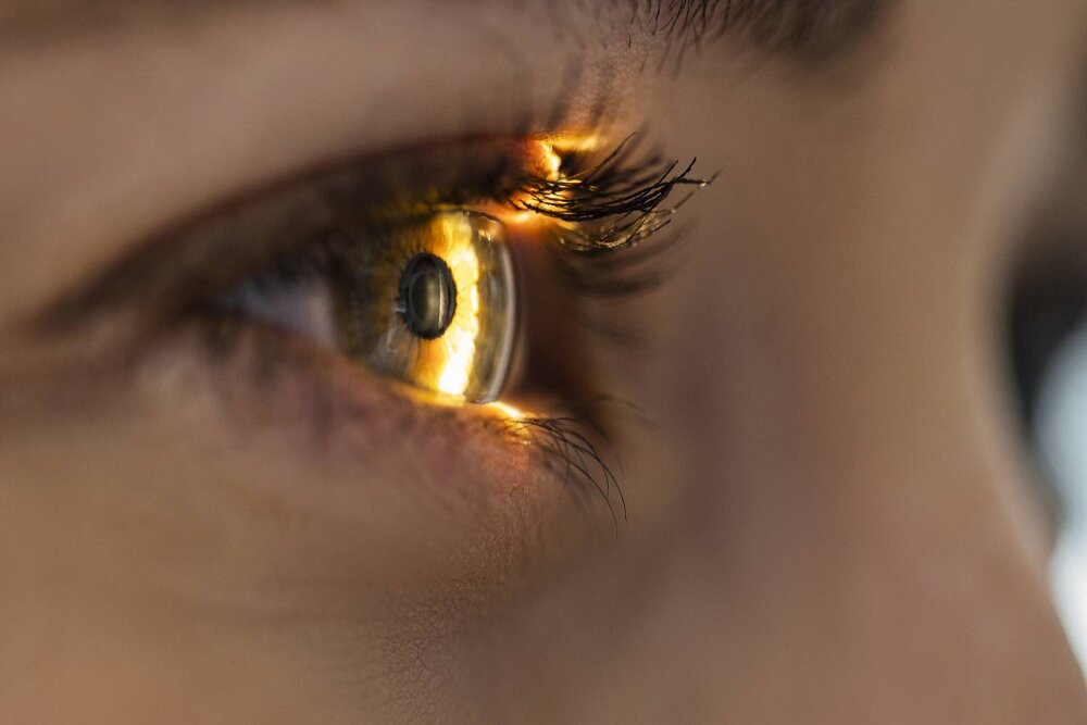 یک زیست ‌تراشه هوشمند، شبکیه چشم انسان را شبیه‌سازی می‌کند
