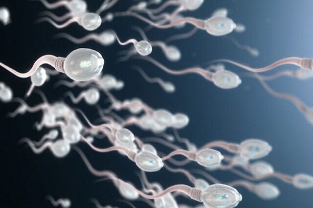 حمایت بنیاد ملی علم از ساخت تراشه جداکننده اسپرم‌ جهت درمان ناباروری
