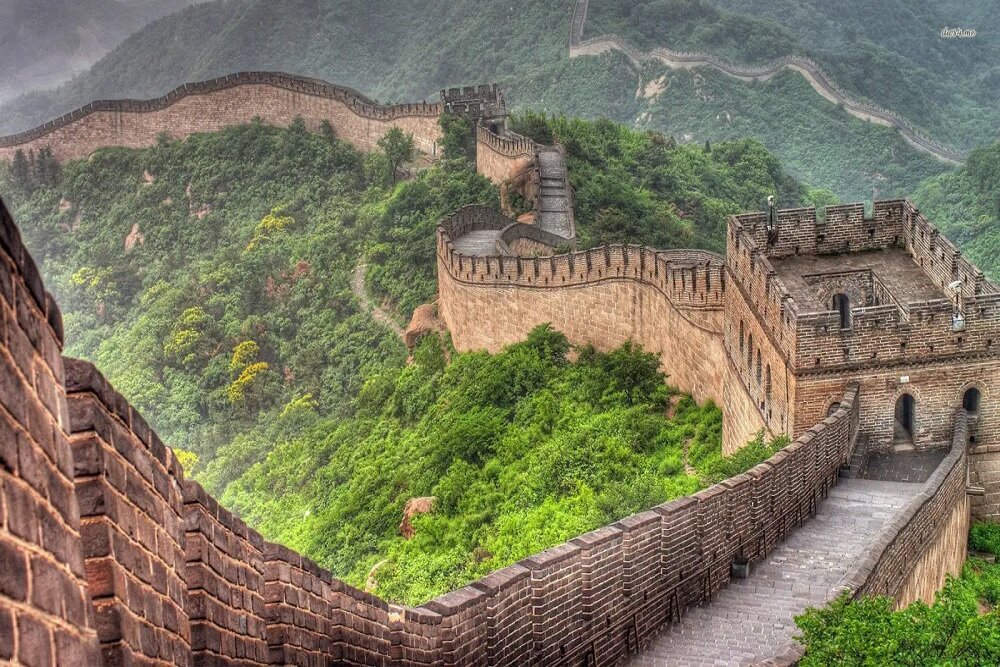 ماده زنده‌ای که از دیوار چین محافظت می‌کند