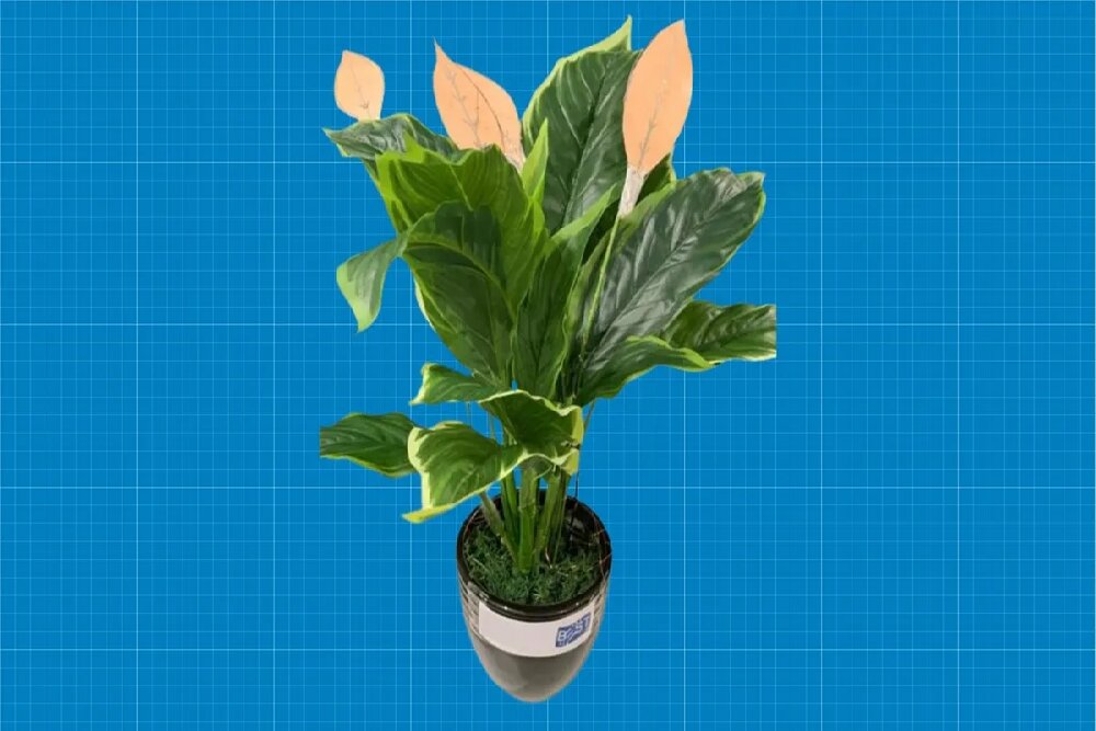 این گیاه مصنوعی از باد و باران انرژی تولید می‌کند